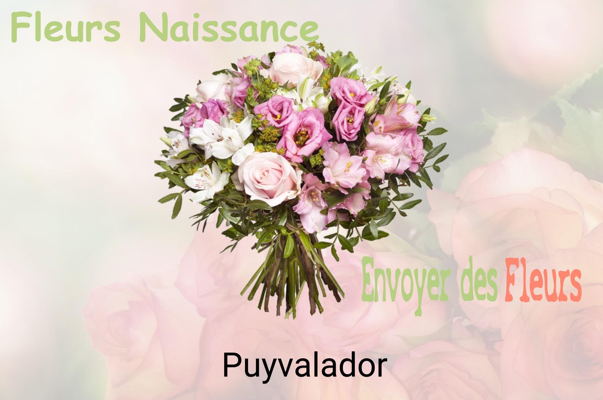 Bouquet de fleurs de naissance livré à Puyvalador